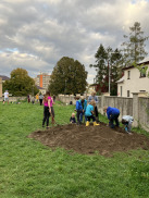 Obrázek v galerii