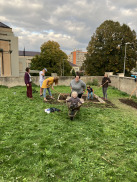 Obrázek v galerii