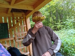 Obrázek v galerii