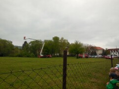 Obrázek v galerii