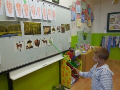 Kdo nepatří do lesa? Co mají obrázky společného? - poznáváme hnědou barvu