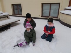Obrázek v galerii