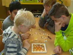 skládáme ve skupinkách puzzle, kde se seznamujeme s vývojovými stádii včely