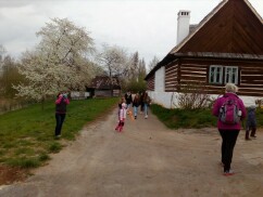 Obrázek v galerii