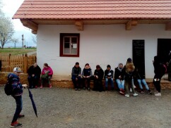 Obrázek v galerii