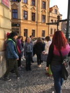 Obrázek v galerii