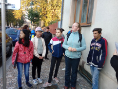 Obrázek v galerii