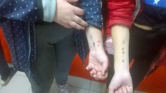 Obrázek v galerii