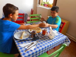Obrázek v galerii