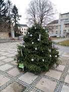 Obrázek v galerii