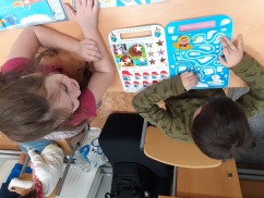 Obrázek v galerii