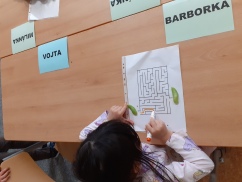 Obrázek v galerii