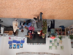 Obrázek v galerii
