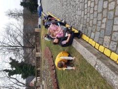 Obrázek v galerii