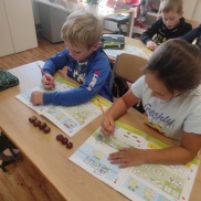 Obrázek v galerii